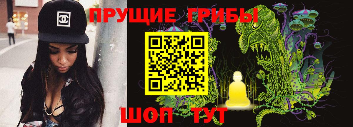 Псилоцибиновые грибы мицелий Советский